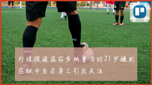外媒报道盗窃多纳鲁马的21岁嫌犯在狱中自杀身亡引发关注