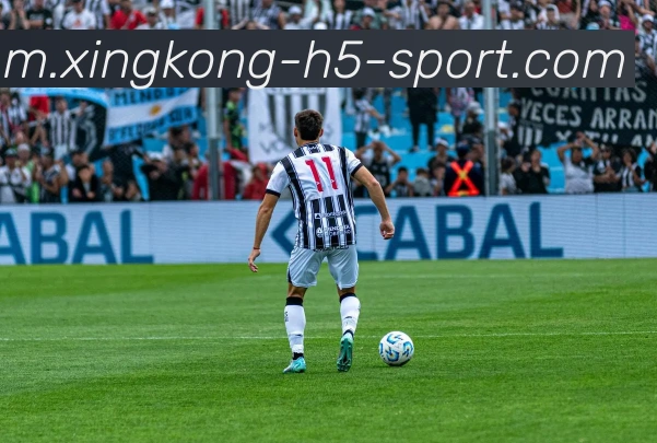 星空体育发展历程